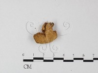 登錄號:F0010646藏品圖，第3張