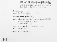 登錄號:F0010647藏品圖，第2張