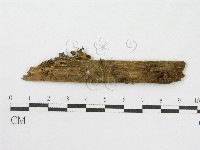 登錄號:F0010647藏品圖，第3張