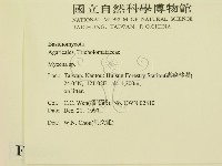 小菇屬藏品圖，第2張