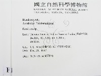 粉褶菌屬藏品圖，第2張