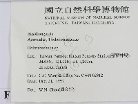 登錄號:F0010650藏品圖，第2張