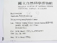 登錄號:F0010651藏品圖，第2張