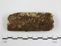 登錄號:F0010651藏品圖，第1張