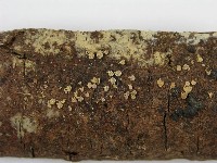 登錄號:F0010651藏品圖，第3張