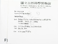 登錄號:F0010652藏品圖，第2張