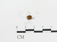 登錄號:F0010652藏品圖，第1張