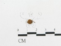 登錄號:F0010652藏品圖，第3張