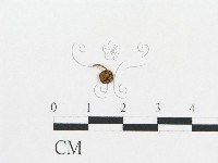 登錄號:F0010653藏品圖，第1張