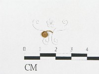 登錄號:F0010653藏品圖，第3張