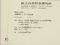 小菇屬藏品圖，第2張