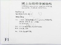 登錄號:F0010655藏品圖，第2張