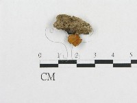 登錄號:F0010655藏品圖，第3張