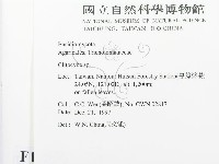 杯傘屬藏品圖，第2張