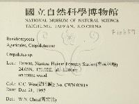 登錄號:F0010657藏品圖，第2張