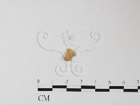 登錄號:F0010657藏品圖，第3張