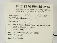 登錄號:F0010658藏品圖，第2張