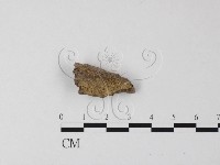 登錄號:F0010658藏品圖，第1張