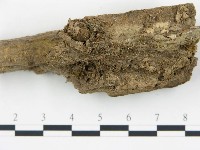 登錄號:F0010658藏品圖，第3張