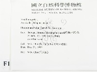 登錄號:F0010660藏品圖，第2張