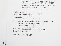 鬼傘屬藏品圖，第2張