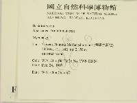 小菇屬藏品圖，第2張