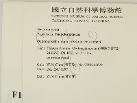 登錄號:F0010668藏品圖，第2張