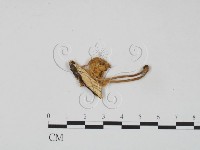 登錄號:F0010668藏品圖，第3張