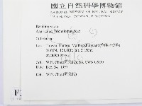 登錄號:F0010669藏品圖，第2張