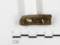 登錄號:F0010670藏品圖，第3張