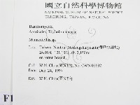 微皮傘屬藏品圖，第2張