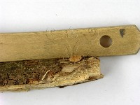 登錄號:F0010672藏品圖，第3張