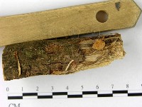 登錄號:F0010672藏品圖，第4張