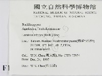 登錄號:F0010673藏品圖，第2張