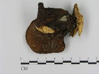 登錄號:F0010673藏品圖，第1張