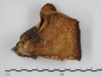 登錄號:F0010674藏品圖，第1張