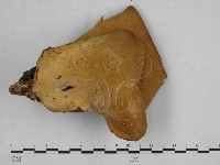 登錄號:F0010674藏品圖，第3張