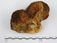 登錄號:F0010675藏品圖，第3張