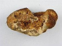 登錄號:F0010675藏品圖，第4張