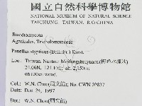 登錄號:F0010676藏品圖，第2張