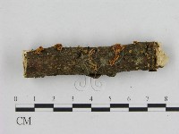 登錄號:F0010676藏品圖，第1張