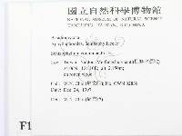 裂褶菌藏品圖，第2張