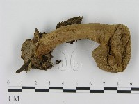 登錄號:F0010678藏品圖，第1張