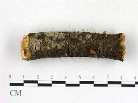 登錄號:F0010679藏品圖，第1張