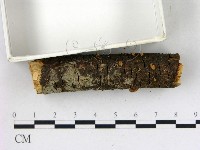 登錄號:F0010679藏品圖，第3張