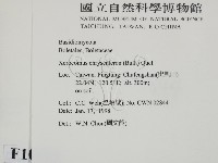 登錄號:F0010683藏品圖，第2張