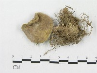 登錄號:F0010684藏品圖，第3張