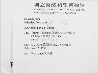 登錄號:F0010685藏品圖，第2張