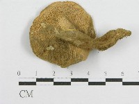 登錄號:F0010685藏品圖，第1張