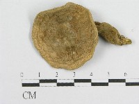 登錄號:F0010685藏品圖，第3張